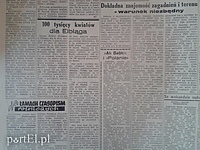 100 tys. kwiatów dla Elbląga