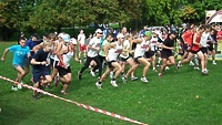 13. Grand Prix Elbląga w biegach przełajowych
