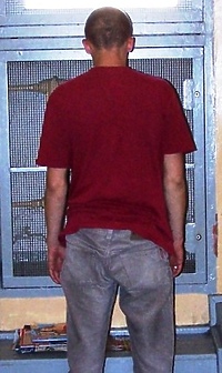 Pijany i niebezpieczny