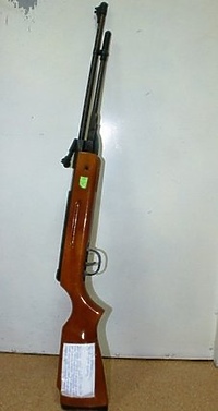 Ojciec postrzelił z wiatrówki 5-letnią córeczkę