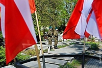 Elbląskie obchody 80. rocznicy zakończenia II wojny światowej
