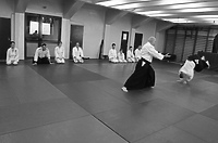 Aikidocy na stażu