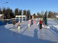 Aktywna zima na ślizgawkach