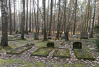 Leśne miejsca zadumy (Opowieści z lasu, odc. 242)