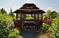 Żeby wiosna była w dechę!