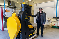 Szerszeń z Elbląga