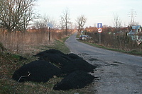 Asfalt na trawy, a Elbląg dziurawy