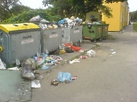 Bałagan na śmietniku