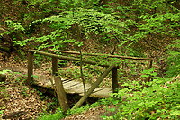 Bażantarnia, jakiej nie znamy