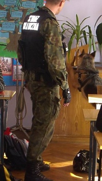 Bez narkotyków bezpieczniej