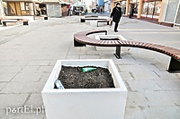 Bez śmietników przy Gwiezdnej