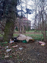 Bezdomny w szpitalnych krzakach