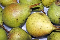 Bezpłatne owoce w szkole