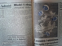 Blaski i cienie elbląskiej zieleni