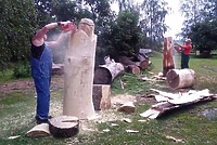 Bliżej natury