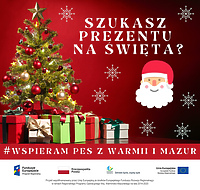 Bożonarodzeniowe zakupy w przedsiębiorstwach społecznych