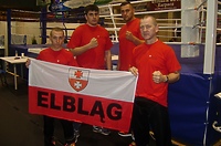 Brązowe tygrysy (boks)