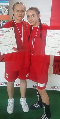 Brązowe tygrysy (boks)