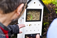 Domki czekają na pszczoły