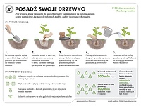 Cała Polska sadzi las