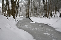Chcą zatrzymać wodę w lesie