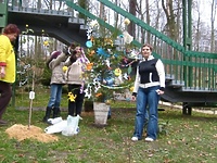 Choinka z iskierką nadziei