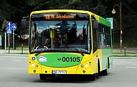 Co dalej z komunikacją autobusową?