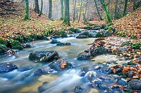 Co Ty możesz zrobić dla przyrody? (Opowieści z lasu, odc. 236)