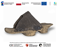 Coraz więcej zabytków regionu trafia do cyfrowego archiwum