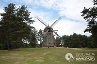 Cyfrowa pamięć. Dziedzictwo kulturowe w dobie nowych technologii