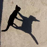 Tfu, tfu... licho nie śpi