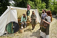 Czas na quiz. Co wiesz o Truso i wikingach?