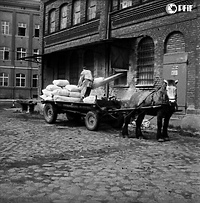 Czas na quiz. Czarno-biały