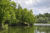 Czas na quiz! Z Parkiem Krajobrazowym Wysoczyzny Elbląskiej