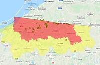 Afrykański Pomór Świń. Jest się czego bać?