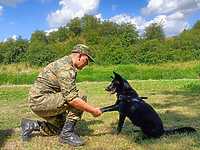 Czworonożni przyjaciele mają swój dzień!