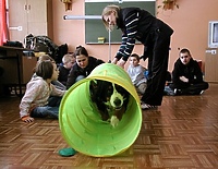 Czworonożny terapeuta