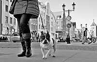 Fotografia uliczna w Fotce miesiąca