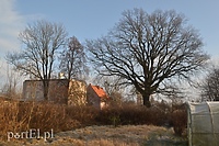 Drogi do niepodległości