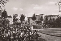 Dawno temu w Elblągu... sprzątano przydworcowe zieleńce