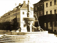 Dawno temu w Elblągu... sprzedawano choinki