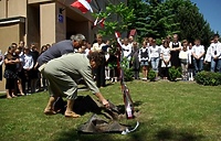 Dęby Pamięci dla poległych