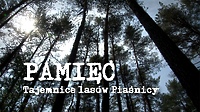 DKF: Pamięć. Tajemnice Lasów Piaśnicy