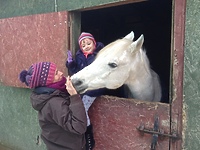 Dni otwarte w Stajni Nowakowo