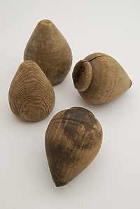 Bączki, fygi, cugi (Historia jednego przedmiotu cz. 148)