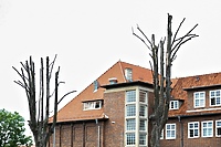 Konkretne pytania i niekonkretne odpowiedzi  (opinia)