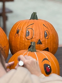 Dyniowa Farma startuje 20 września w Nowej Holandii