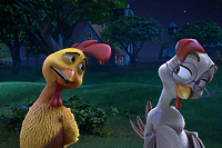 Dzielny kogut Maniek w Światowidzie