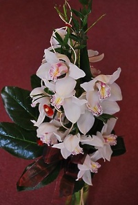 Dzień Kobiet w Kwiaciarni Różanej