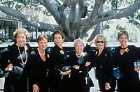 Dziewczyny z kalendarza